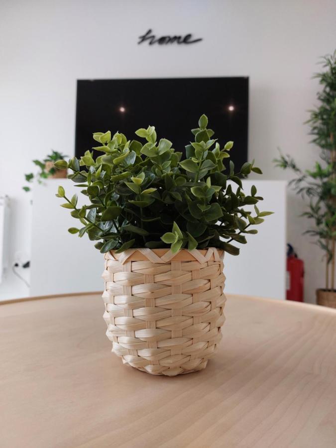 Beach Life Apartment, New, Elegant And Cozy 纳扎雷 外观 照片